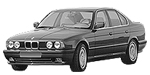 BMW E34 C255A Fault Code